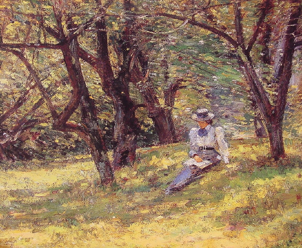 Woman reading a book in a forest