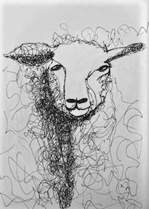Example of sheep drawing by a student